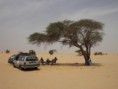 /album/fotogalerie-startseite/rallye-dresden-dakar-marz-2009-936-jpg/